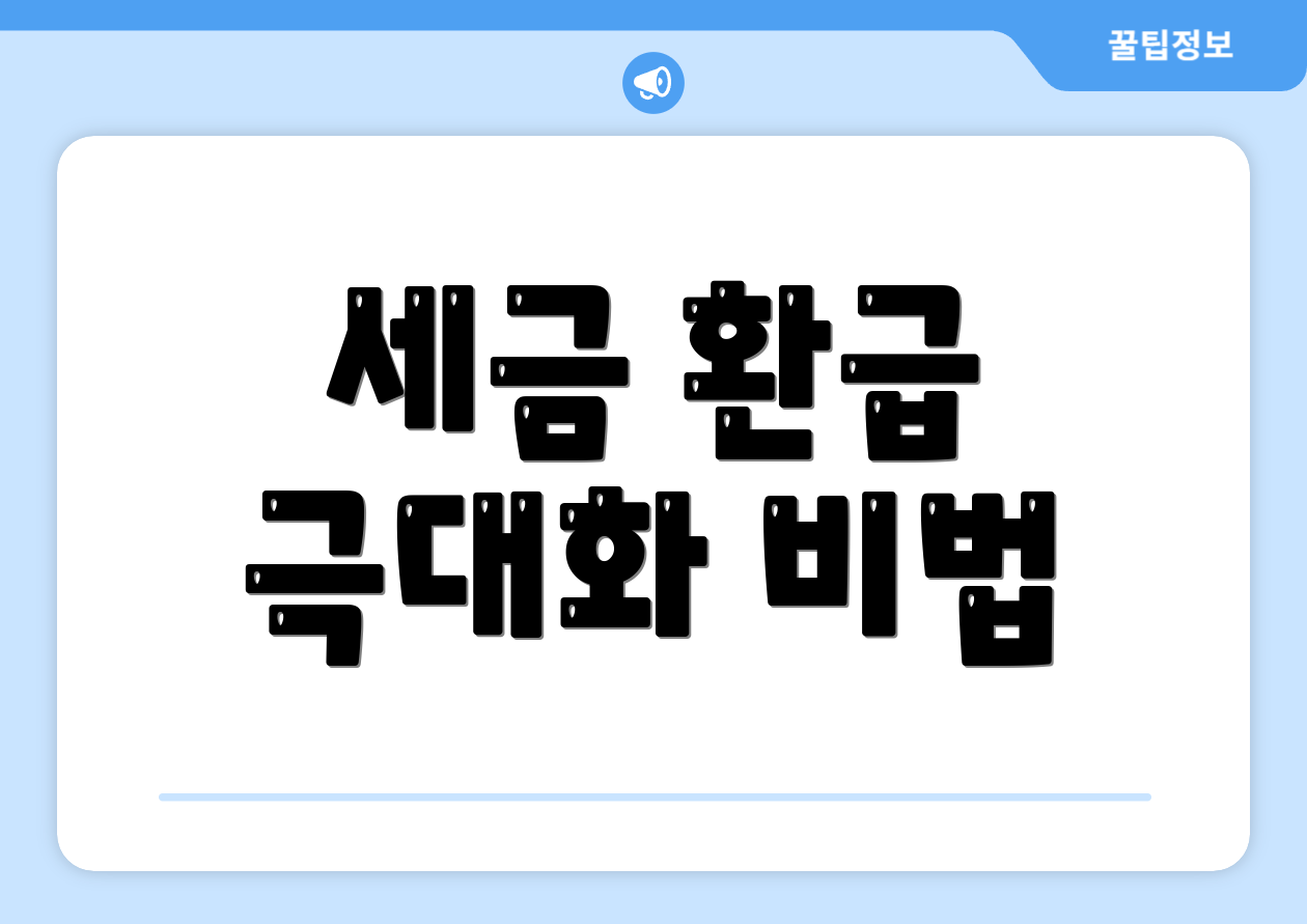세금 환급 극대화 비법